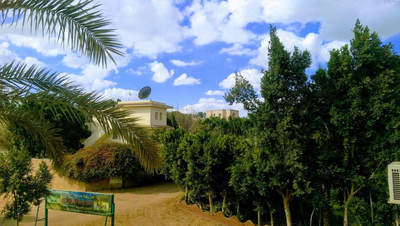 The Farm - Hotel & Horse Riding Cairo Exterior photo