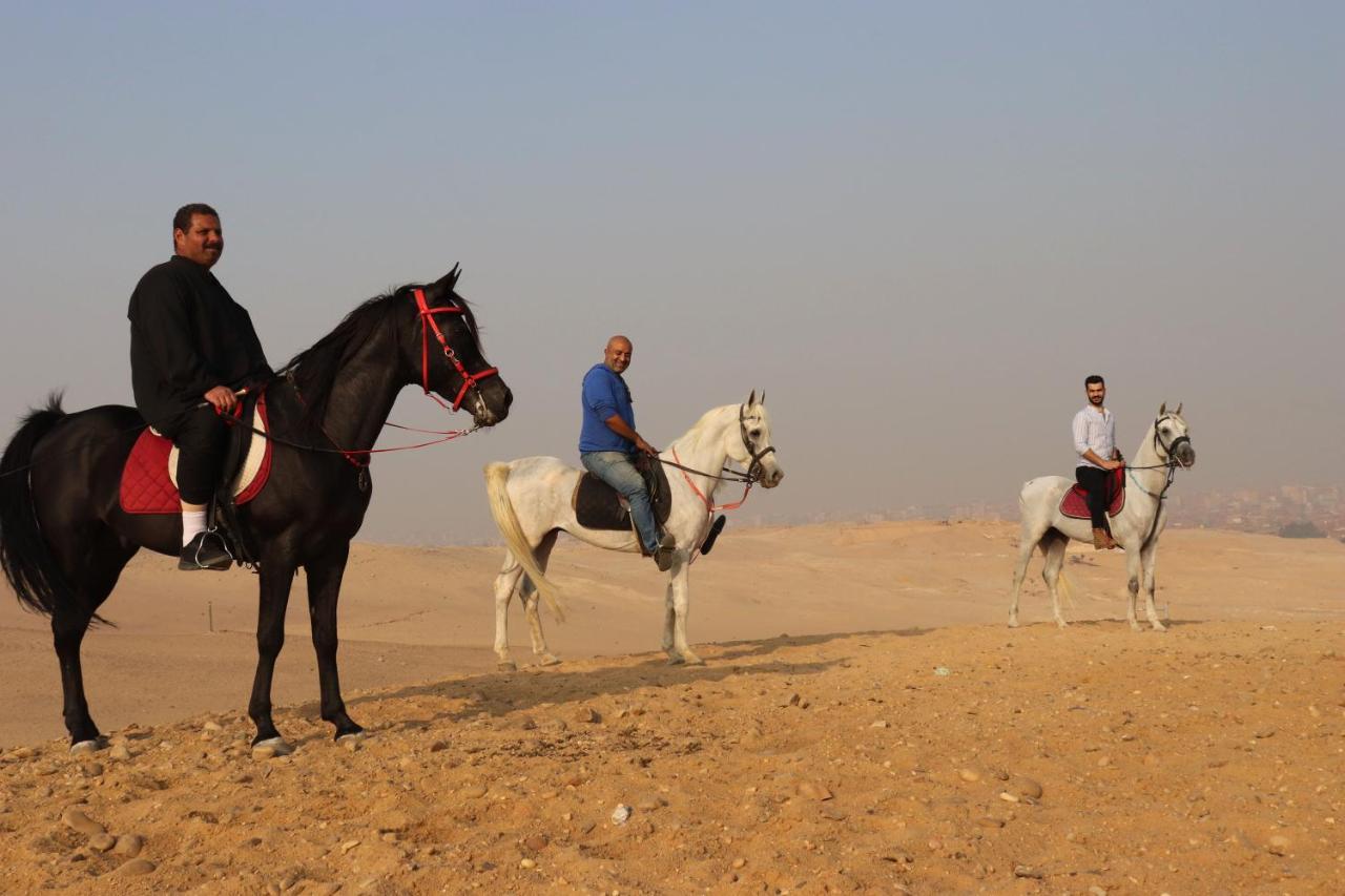 The Farm - Hotel & Horse Riding Cairo Exterior photo