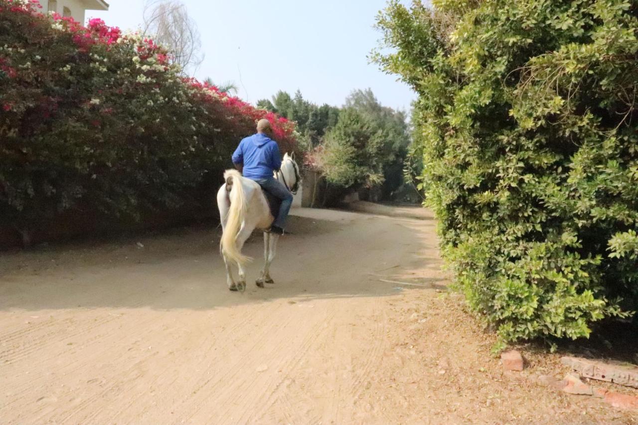 The Farm - Hotel & Horse Riding Cairo Exterior photo